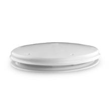 Low profile roof ventilator