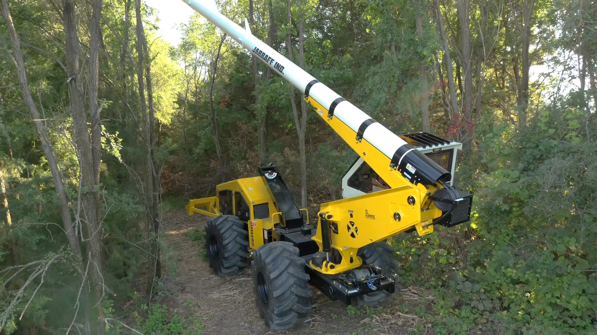 Tree trimming machine in full swing